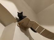 Dřevěná police pro doplnění škrabadla velká 1 ks