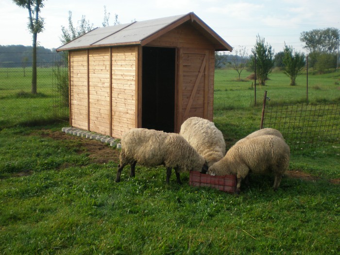 Nářaďový domek 5