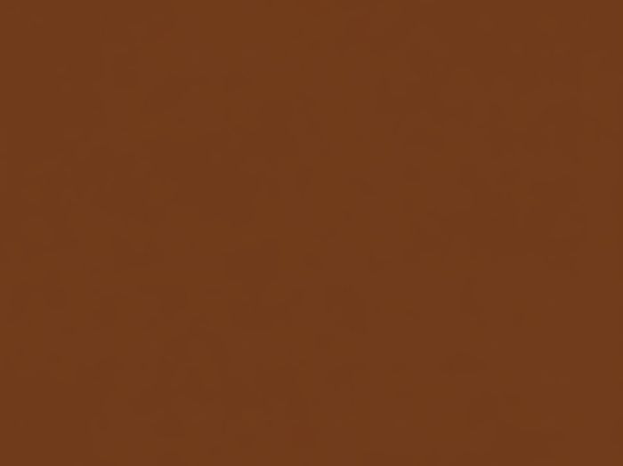 Lakovaný pozinkovaný plech - odstín tmavě hnědý (RAL8017)